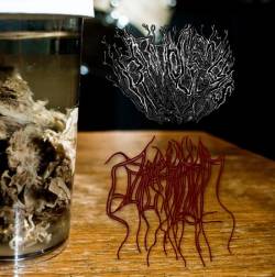 Pathogenesis - Parasitic Twin